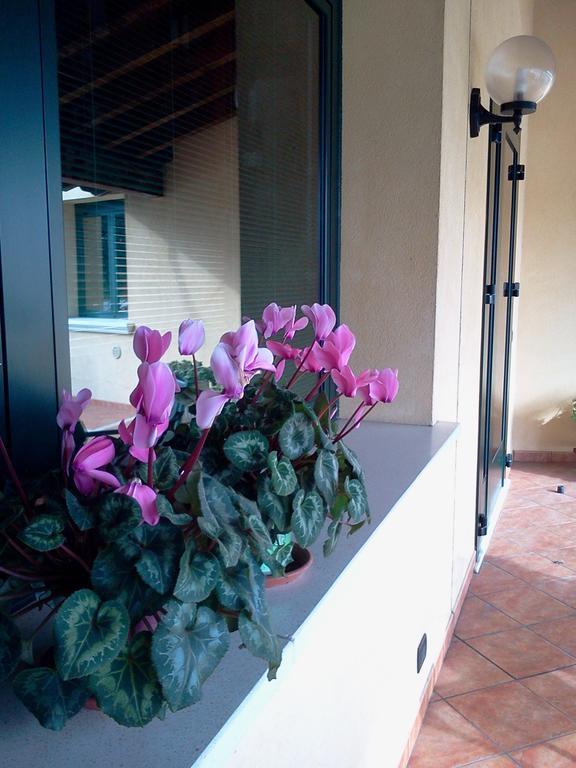 Albergo Al Portico Azzano Decimo Zewnętrze zdjęcie